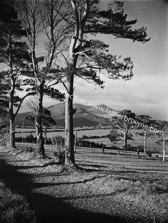 VIEW FROM LORETO CONVENT